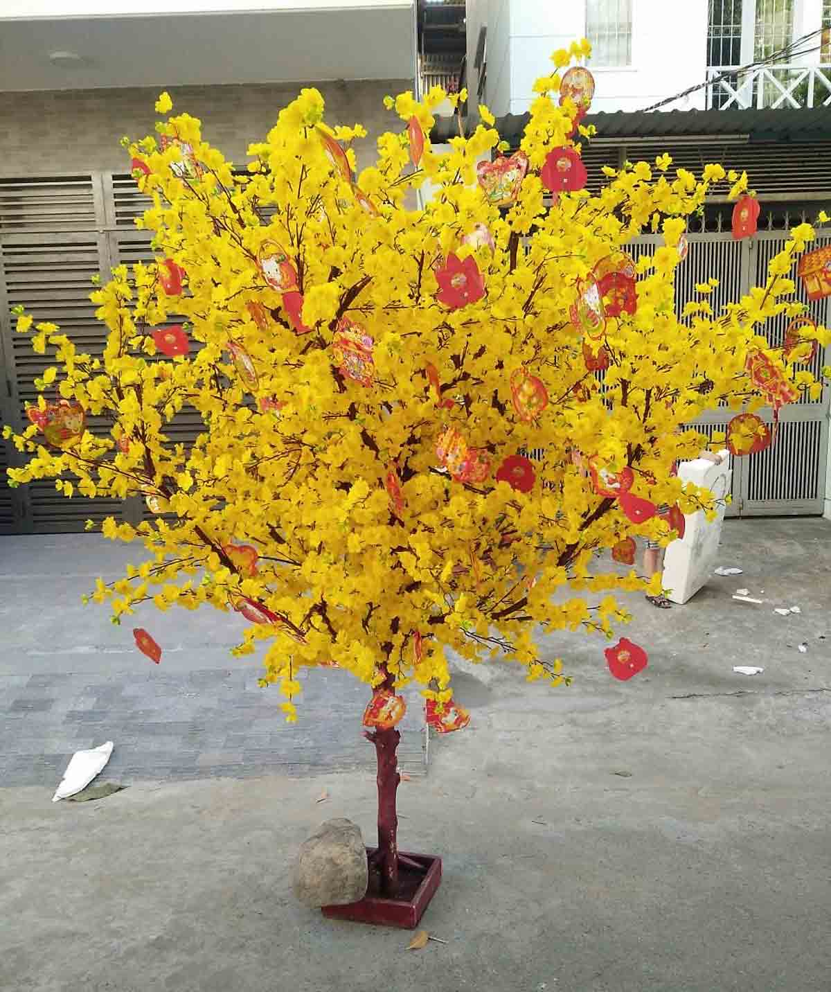 Cây hoa mai giả chơi Tết