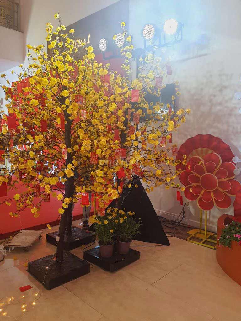 Cây hoa mai giả chơi Tết
