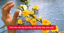 Cách làm cây mai giả bằng giấy nhún đẹp, đơn giản