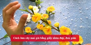 Cách làm cây mai giả bằng giấy nhún đẹp, đơn giản