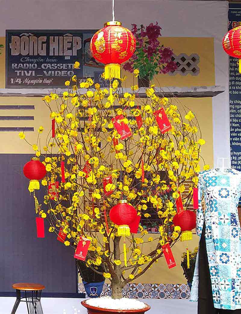 Cây hoa mai giả chơi Tết