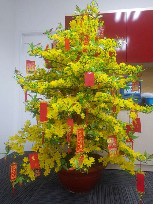 Cây hoa mai giả chơi Tết