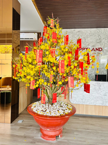 Cây hoa mai giả chơi Tết