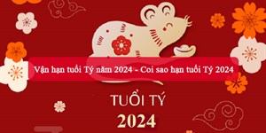 Vận hạn tuổi Tý năm 2024 - Coi sao hạn tuổi Tý 2024 