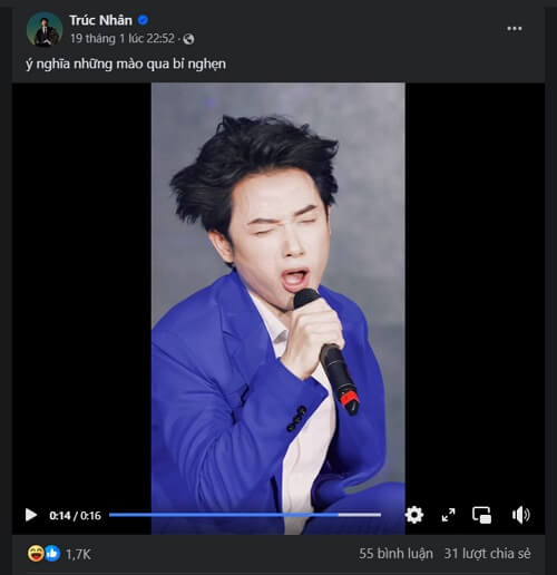 trend ý nghĩa màu hoa bỉ ngạn