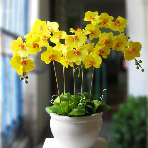 Mẫu cắm hoa lan hồ điệp