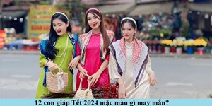 12 Con giáp Tết 2024 mặc màu gì để đem lại may mắn cả năm?