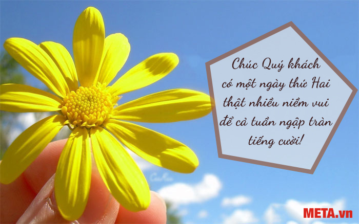 Ảnh chúc đầu tuần cho Quý khách hàng