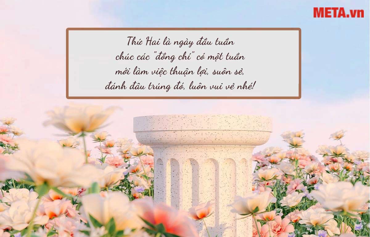 Ảnh chúc đầu tuần cho đồng nghiệp cực hay