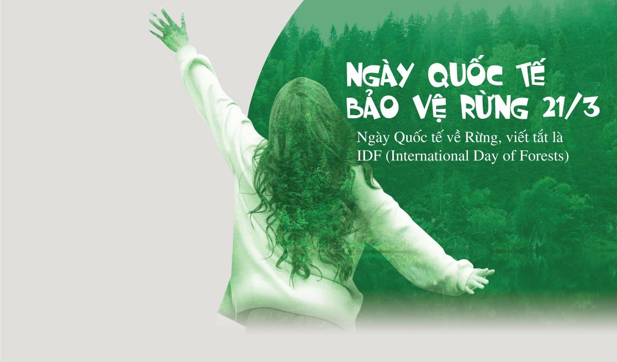 Ngày Quốc tế về Rừng