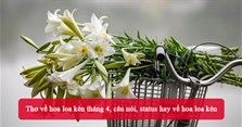 Thơ về hoa loa kèn tháng 4, câu nói, status hay về hoa loa kèn
