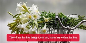 Thơ về hoa loa kèn tháng 4, câu nói, status hay về hoa loa kèn