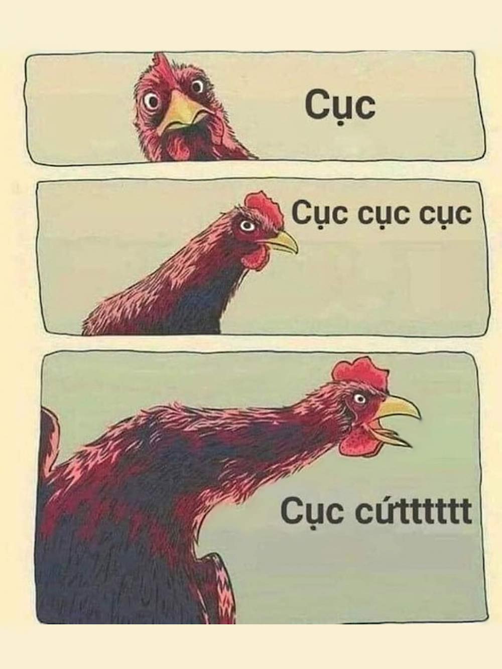 Ảnh đẹp troll bạn bè, người yêu