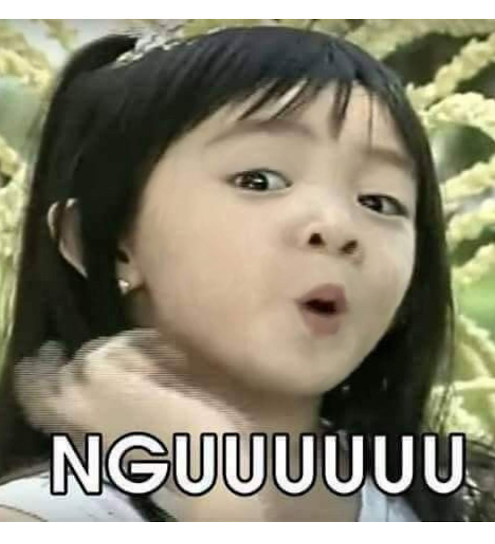 Ảnh troll thú vị