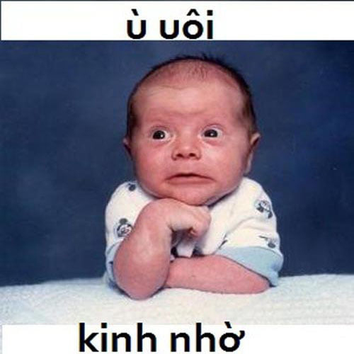 Ảnh đẹp troll người yêu, bạn bè