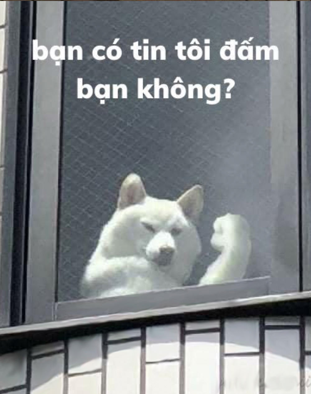 Ảnh troll bạn bè hài hước