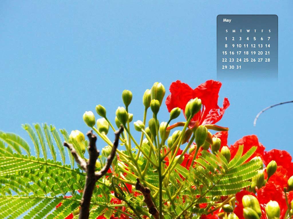 Hình ảnh tháng 5 đẹp