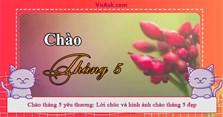 Chào tháng 5 yêu thương: Lời chúc và hình ảnh chào tháng 5 đẹp