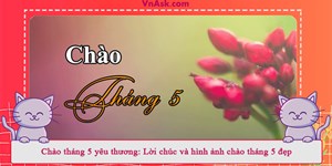 Chào tháng 5 yêu thương: Lời chúc và hình ảnh chào tháng 5 đẹp