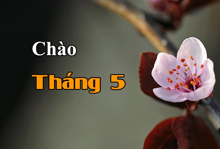 Hình ảnh chào tháng 5 đẹp