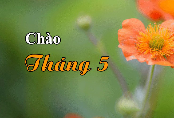 Hình ảnh tháng 5