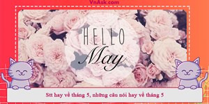 Stt hay về tháng 5, những câu nói hay về tháng 5