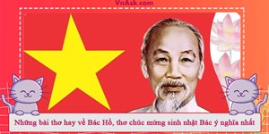 Những bài thơ hay về Bác Hồ, thơ chúc mừng sinh nhật Bác ý nghĩa nhất