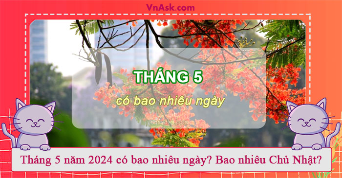 Tìm hiểu tháng 5 có bao nhiêu ngày