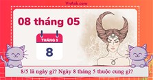 8/5 là ngày gì? Ngày 8 tháng 5 thuộc cung gì?