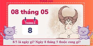 8/5 là ngày gì? Ngày 8 tháng 5 thuộc cung gì?