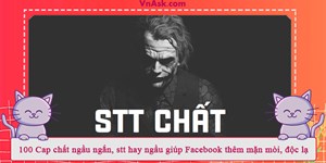 100 Cap chất ngầu ngắn, stt hay ngầu giúp Facebook thêm mặn mòi, độc lạ