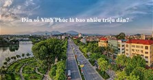 Dân số tỉnh Vĩnh Phúc năm 2024 là bao nhiêu triệu dân?