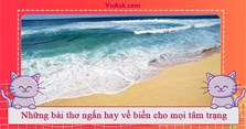 Những bài thơ ngắn hay về biển cho mọi tâm trạng