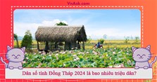 Dân số tỉnh Đồng Tháp 2024 là bao nhiêu triệu dân?