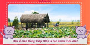 Dân số tỉnh Đồng Tháp 2024 là bao nhiêu triệu dân?