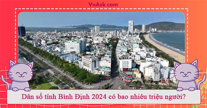 Dân số tỉnh Bình Định 2024 có bao nhiêu triệu người?