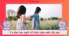 Những câu ca dao tục ngữ nói về tình cảm anh chị em trong gia đình