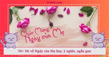 50+ Stt về Ngày của Mẹ hay, ý nghĩa, ngắn gọn