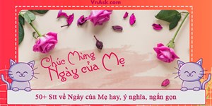 50+ Stt về Ngày của Mẹ hay, ý nghĩa, ngắn gọn