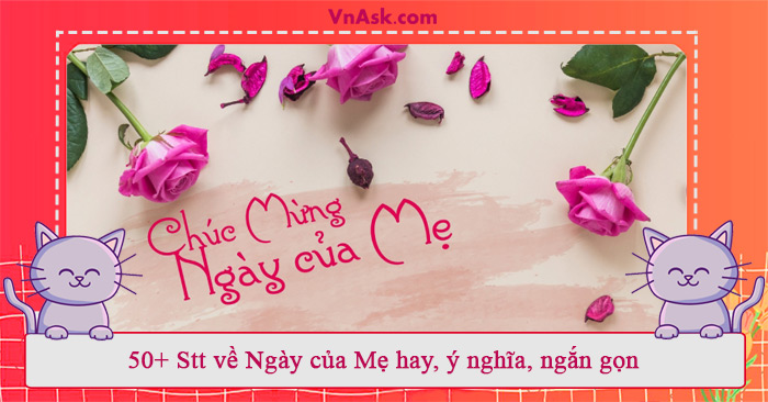 Những stt về ngày của Mẹ hay nhất