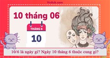 10/6 là ngày gì? Ngày 10 tháng 6 thuộc cung gì?