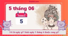 5/6 là ngày gì? Sinh ngày 5 tháng 6 thuộc cung gì?