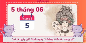 5/6 là ngày gì? Sinh ngày 5 tháng 6 thuộc cung gì?