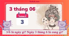 3/6 là ngày gì? Ngày 3 tháng 6 là cung gì?
