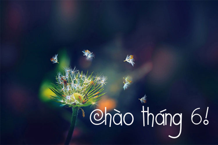 Hình ảnh chào tháng 6 đẹp