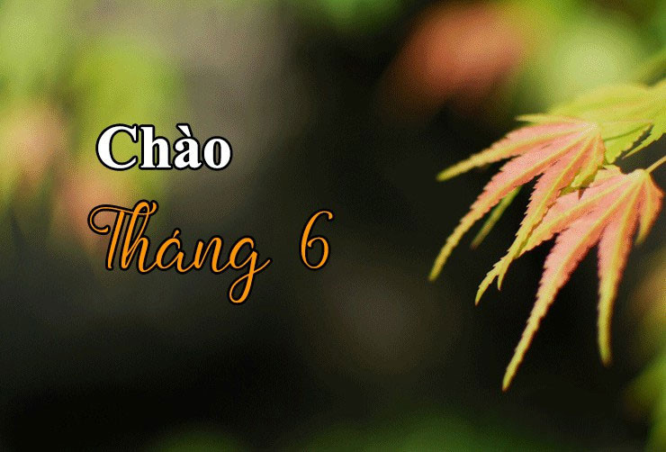 Ảnh chào tháng Sáu sắc nét