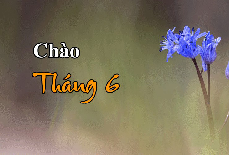 Hình ảnh chào tháng 6 đẹp