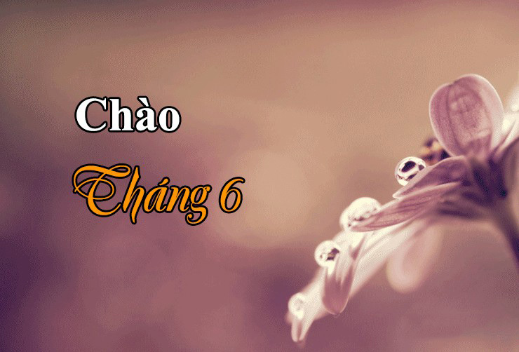 Ảnh chào tháng Sáu sắc nét