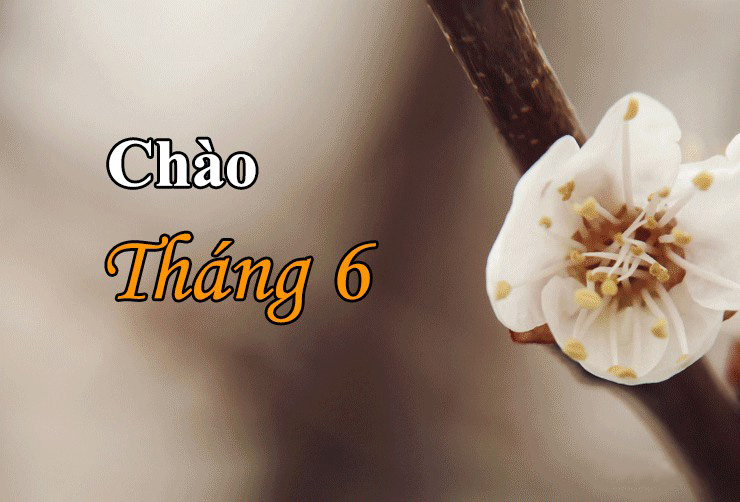 Hình ảnh chào tháng 6 đẹp nhất