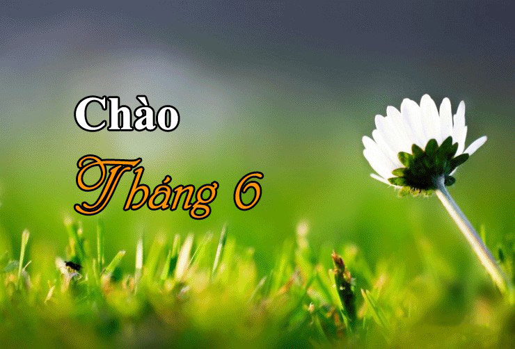 Hình ảnh chào tháng 6 đẹp